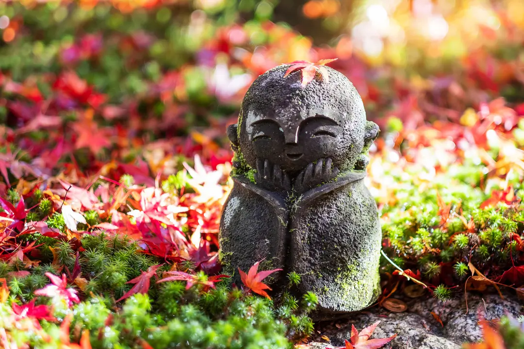 ข่าวเด่น: วัดพุทธเถรวาทในโตเกียวเปิดสอนภาษาบาลีฟรีสำหรับเยาวชน